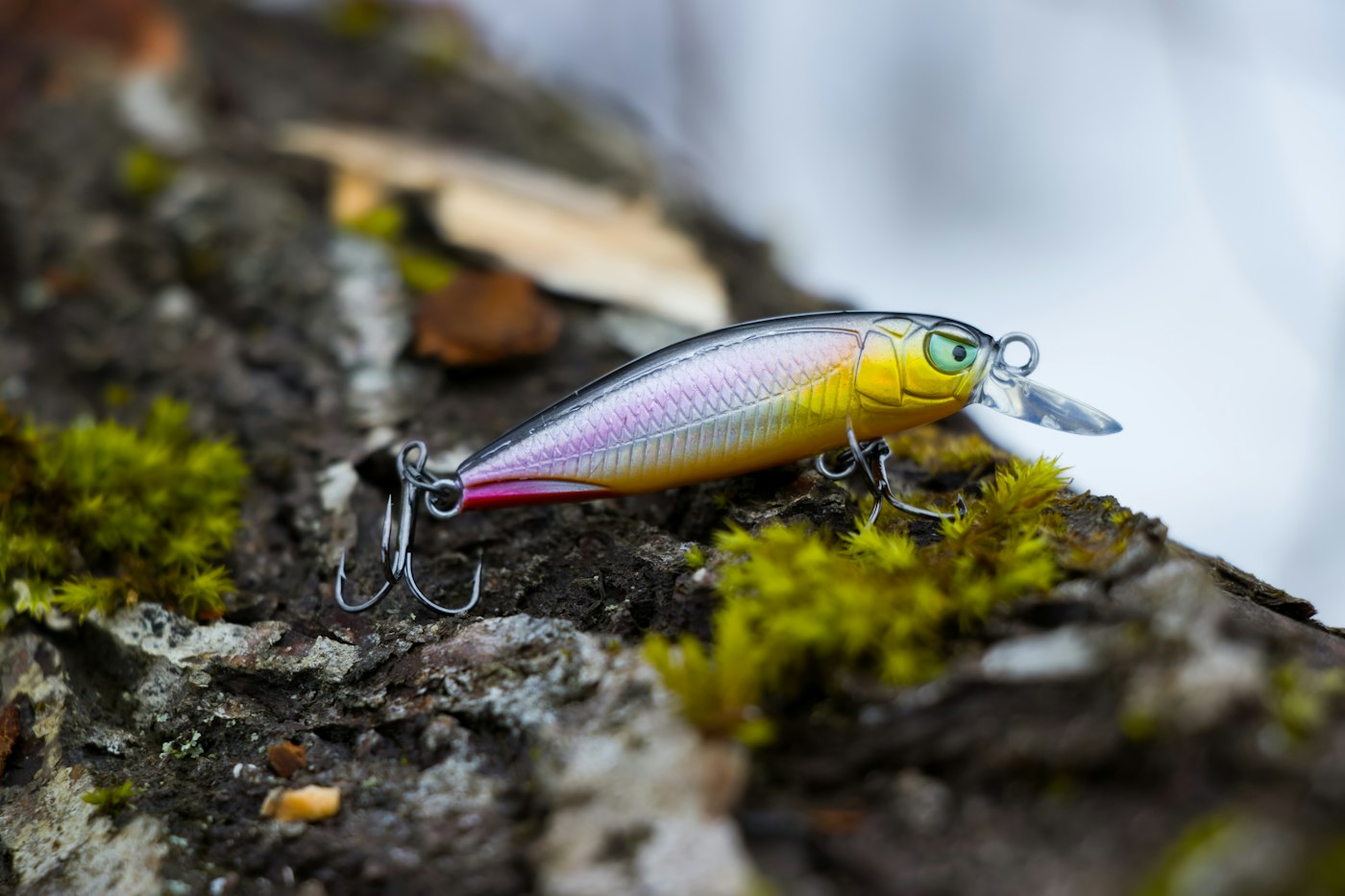 A minnow lure on moss